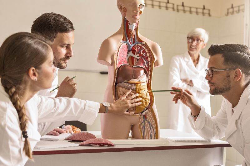 Descubre los mejores libros de anatomía: una constante fuente de estudio y consulta 7 Texto y Atlas de anatomía en 3 tomos