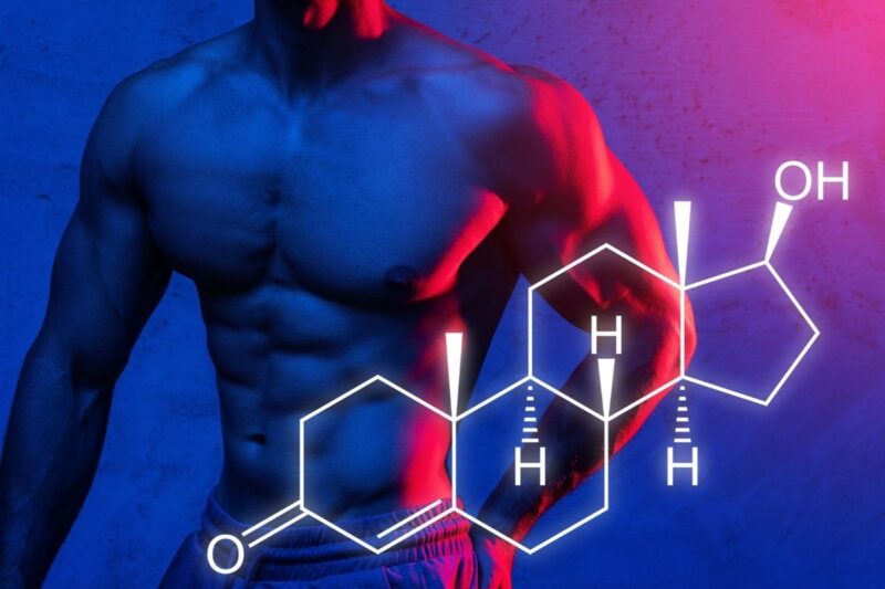 ¿Qué es y para qué sirve la testosterona? 1 Qué es y para qué sirve la testosterona